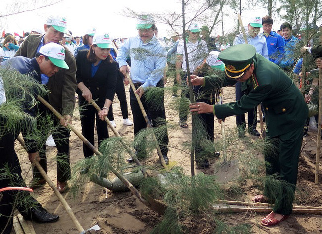 南定省在该省沿海地区种植3000棵树共同建设美丽家园 ảnh 1