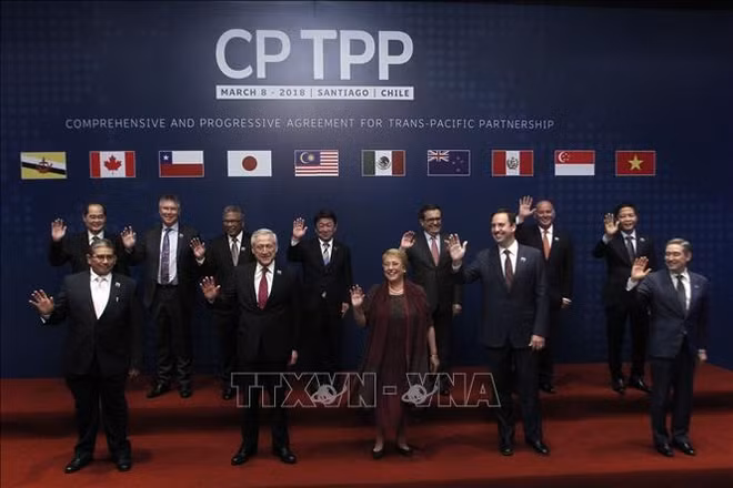 泰国即将向官方提交关于加入CPTPP的提案 ảnh 1