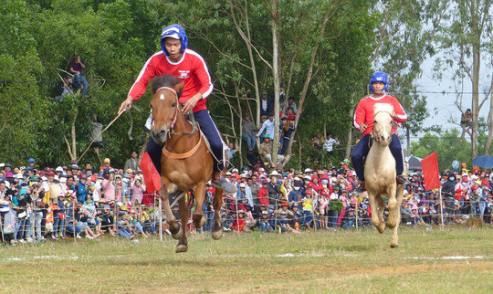 热闹非凡的富安省赛马节 ảnh 2 热闹非凡的富安省赛马节 ảnh 2