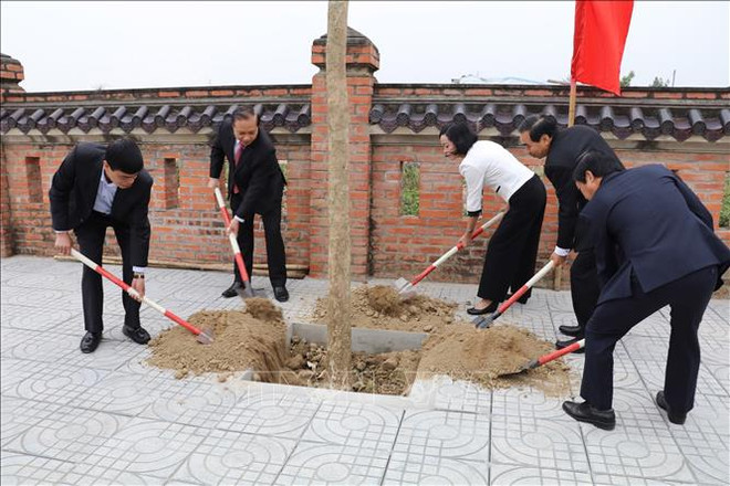 富寿和宁平等省举行植树活动启动仪式 ảnh 2 富寿和宁平等省举行植树活动启动仪式 ảnh 2