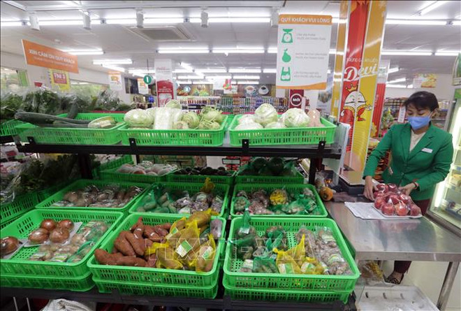 越南6家企业参加阿尔及利亚国际农业在线展会 ảnh 2 越南6家企业参加阿尔及利亚国际农业在线展会 ảnh 2