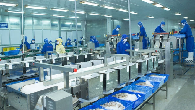 岘港市 2021 年将专注于帮扶企业促进出口 ảnh 1