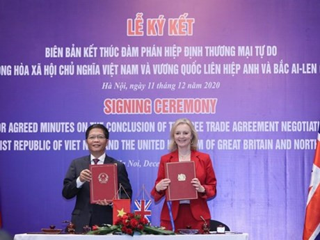 越通社评选一周要闻（2020.12.28-2021.1.3） ảnh 3