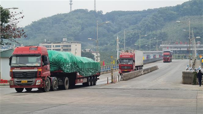 2021年伊始老街金城二号陆路国际口岸货物出口量达逾500吨 ảnh 1 2021年伊始老街金城二号陆路国际口岸货物出口量达逾500吨 ảnh 1