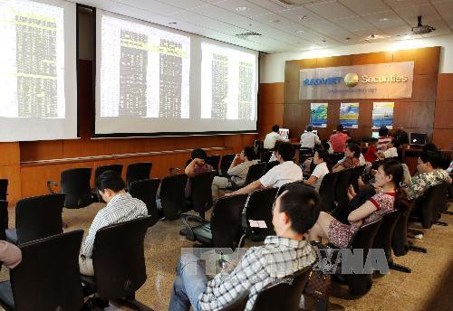 越南新开证券账户数创纪录新高 ảnh 1