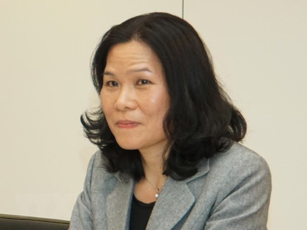 越南驻荷兰大使吴氏和主持海牙东盟委员会7月例行会议 ảnh 1 越南驻荷兰大使吴氏和主持海牙东盟委员会7月例行会议 ảnh 1