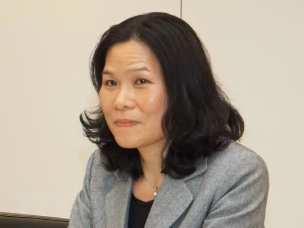 越南驻荷兰大使吴氏和主持海牙东盟委员会7月例行会议 ảnh 1
