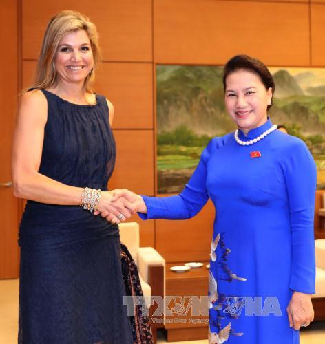 国会主席阮氏金银会见荷兰王后马克西玛 ảnh 1 国会主席阮氏金银会见荷兰王后马克西玛 ảnh 1