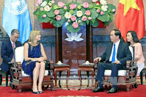 越南国家主席陈大光会见荷兰王后马克西玛 ảnh 1 越南国家主席陈大光会见荷兰王后马克西玛 ảnh 1