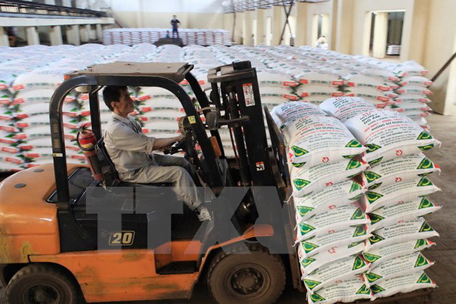 越南化肥进口量攀升 ảnh 1 越南化肥进口量攀升 ảnh 1