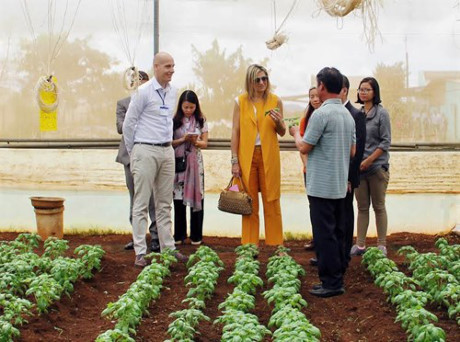 荷兰王后走访越南林同省农企和农民 ảnh 1 荷兰王后走访越南林同省农企和农民 ảnh 1