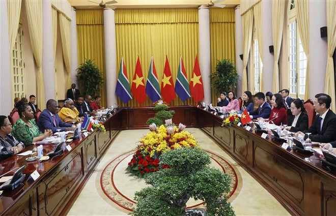 越南国家副主席武氏映春与南非副总统保罗·马沙蒂莱举行会谈 ảnh 2 越南国家副主席武氏映春与南非副总统保罗·马沙蒂莱举行会谈 ảnh 2