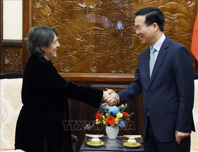 越南国家主席武文赏会见西班牙驻越大使 ảnh 1