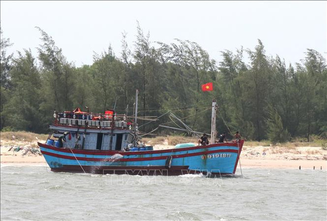 广治省提出一些有效渔船管理的政策 ảnh 1 广治省提出一些有效渔船管理的政策 ảnh 1