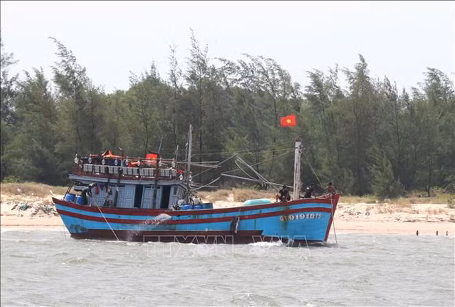 广治省提出一些有效渔船管理的政策 ảnh 1 广治省提出一些有效渔船管理的政策 ảnh 1