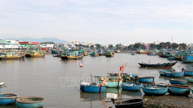 解除IUU“黄牌警告”：平顺省重点强化对渔船的管控 ảnh 1