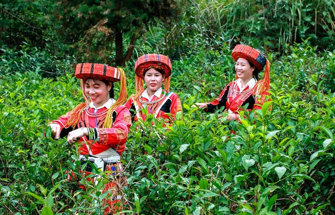 巴天族妇女的绚丽服饰 ảnh 2 巴天族妇女的绚丽服饰 ảnh 2