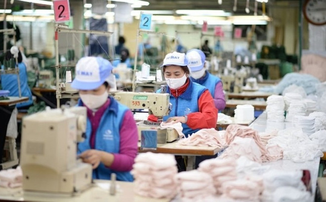 越南努力保护出口商品在欧盟市场的利益 ảnh 1