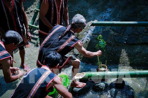 水滨祭祀仪式——嘉莱族的特色文化之美 ảnh 1