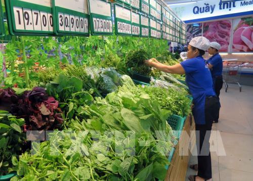 致力在日本推广越南农产品的品牌形象 ảnh 1 致力在日本推广越南农产品的品牌形象 ảnh 1