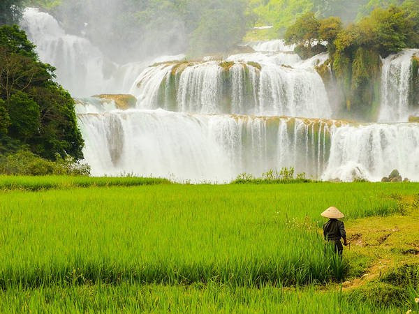  高平省社区旅游服务质量仍有待提高 ảnh 1