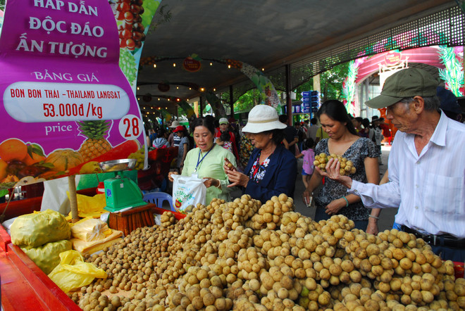 2018年第14届南部水果节活动丰富多样 ảnh 2 2018年第14届南部水果节活动丰富多样 ảnh 2