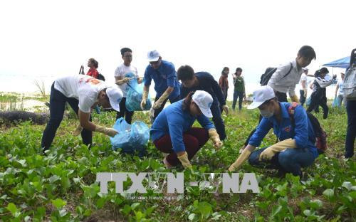 近500名青年团员参加绿色越南海洋运动 ảnh 2 近500名青年团员参加绿色越南海洋运动 ảnh 2