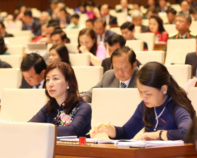越南第十四届国会五次会议: 国会代表和全国选民对本次会议给予厚望 ảnh 2 越南第十四届国会五次会议: 国会代表和全国选民对本次会议给予厚望 ảnh 2