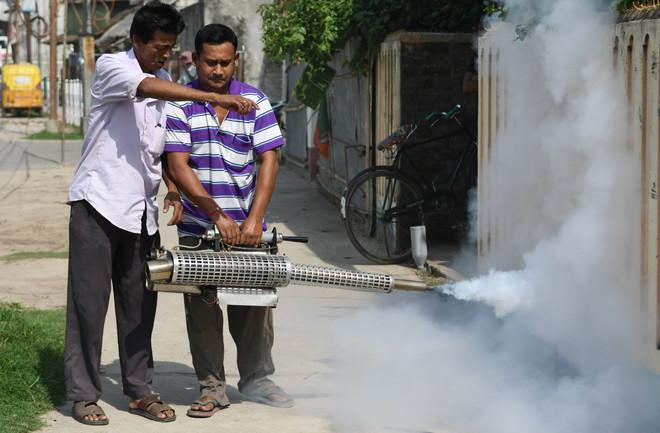 东南亚各国与中国承诺全面消除疟疾 ảnh 1 东南亚各国与中国承诺全面消除疟疾 ảnh 1