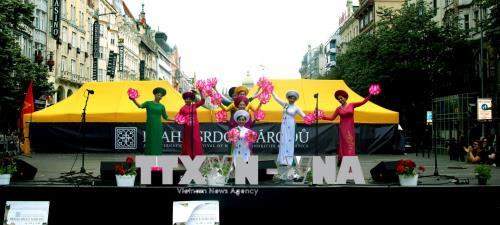 越南在2018布拉格国际文化艺术节获得成功 ảnh 1 越南在2018布拉格国际文化艺术节获得成功 ảnh 1