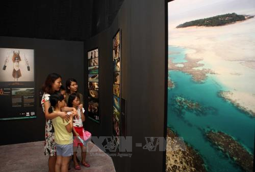 “复活:托雷斯海峡地区的面具” 展览会在河内开展 ảnh 2 “复活:托雷斯海峡地区的面具” 展览会在河内开展 ảnh 2