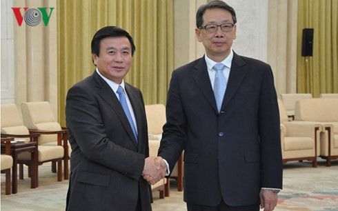 越南十分重视越中全面战略合作伙伴关系 ảnh 1