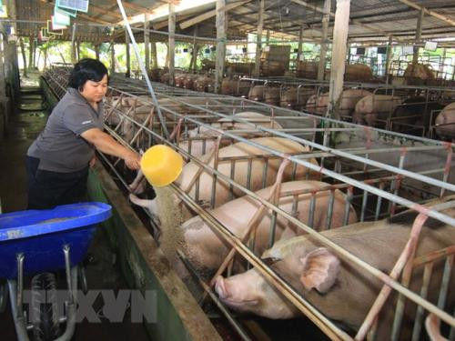 5月份居民消费价格指数创6年来新高 ảnh 1