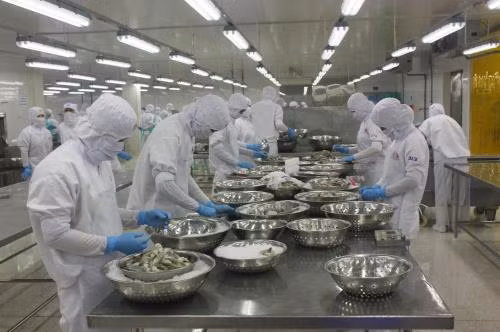  坚江省为企业创造良好的营商环境 ảnh 1