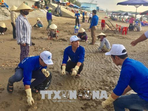 1000余名青年团员响应“绿色越南海洋运动”号召投身净化海洋行动中 ảnh 1