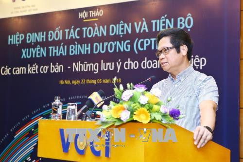 CPTPP:实现体制改革的良好机会 ảnh 1 CPTPP:实现体制改革的良好机会 ảnh 1