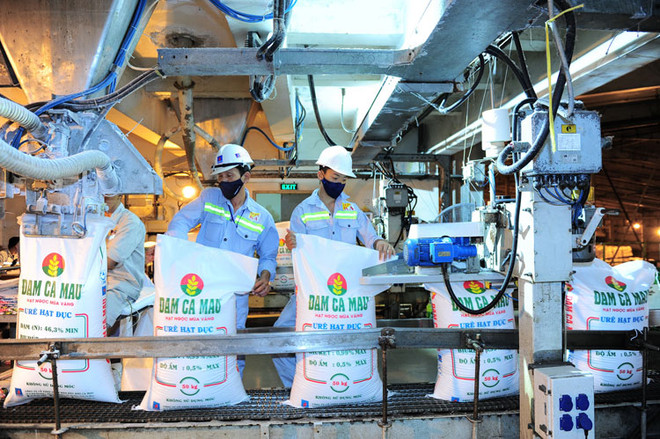 金瓯氮肥厂尿素产量达成500万吨大关 ảnh 1