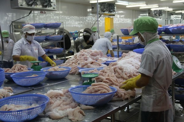 越南抓紧时间来解决水产“黄牌”警告问题 ảnh 1 越南抓紧时间来解决水产“黄牌”警告问题 ảnh 1