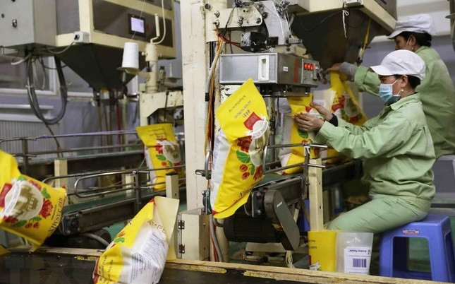 越南大米出口的机遇 ảnh 1 越南大米出口的机遇 ảnh 1