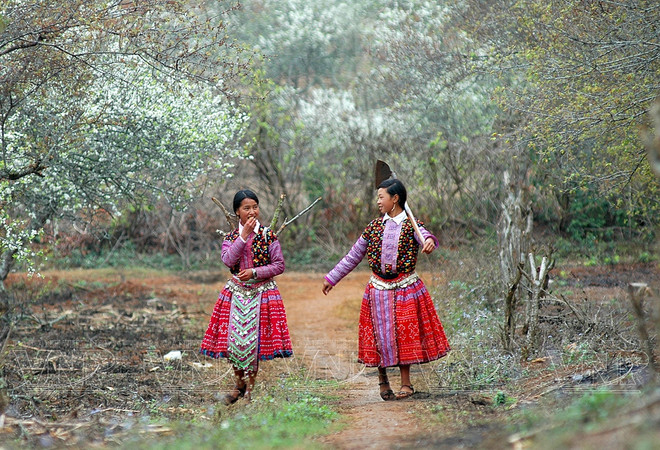 越南北部各省旅游突破发展 ảnh 2 越南北部各省旅游突破发展 ảnh 2