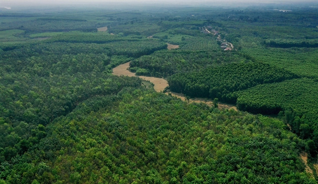 世界野生生物日:为了地球的“健康” ảnh 1 世界野生生物日:为了地球的“健康” ảnh 1