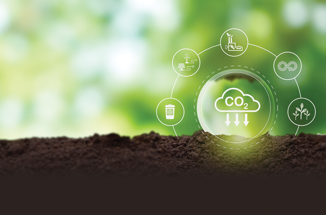 胡志明市积极引进绿色投资和发展碳信用市场 ảnh 1 胡志明市积极引进绿色投资和发展碳信用市场 ảnh 1