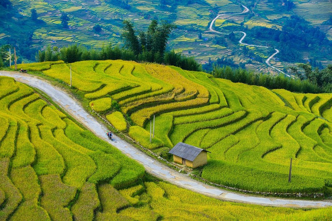 老街省伊子乡的迷人风光颇受国内外游客的青睐 ảnh 1 老街省伊子乡的迷人风光颇受国内外游客的青睐 ảnh 1