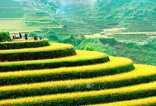 第十一届越南国际摄影大赛正式启动 ảnh 1 第十一届越南国际摄影大赛正式启动 ảnh 1