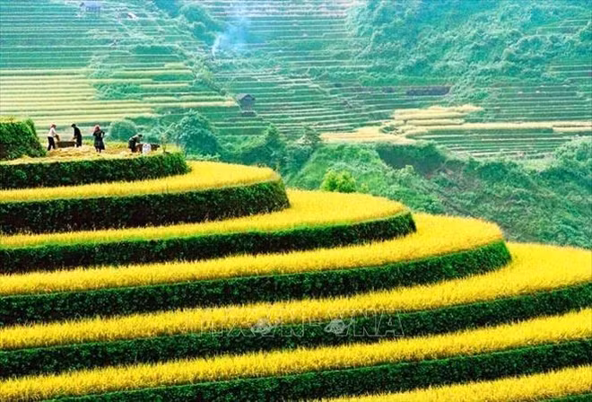 第十一届越南国际摄影大赛正式启动 ảnh 1 第十一届越南国际摄影大赛正式启动 ảnh 1