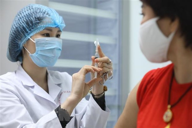 31日上午越南无新增新冠肺炎确诊病例 新冠疫苗接种人数达48256人 ảnh 1 31日上午越南无新增新冠肺炎确诊病例 新冠疫苗接种人数达48256人 ảnh 1