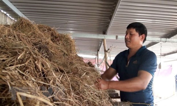 洪灾退后广平省农民一直努力恢复生产 ảnh 1