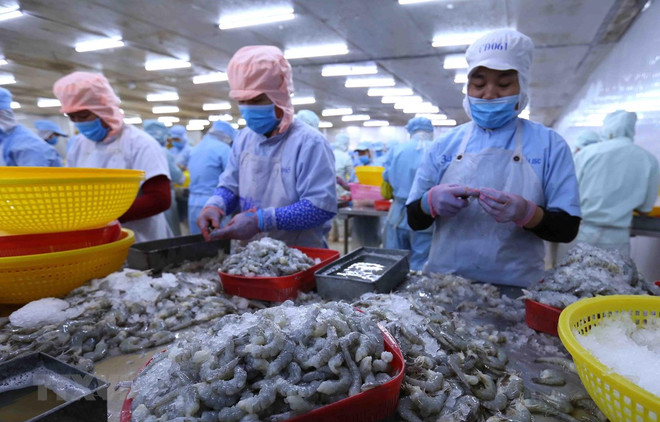 澳大利亚研究报告:越南是澳大利亚的“完美经济合作伙伴” ảnh 1 澳大利亚研究报告:越南是澳大利亚的“完美经济合作伙伴” ảnh 1