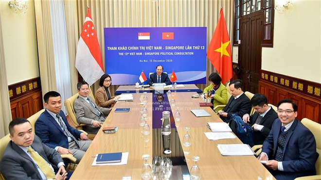 越南与新加坡举行第13次政治磋商 ảnh 1