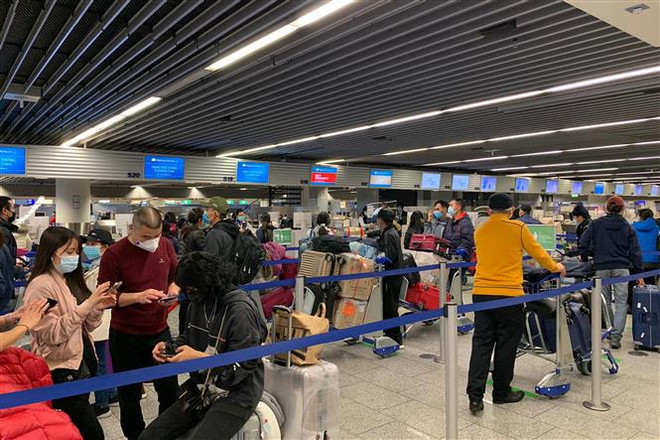 将在德国滞留的近310名越南公民安全接回国 ảnh 1 将在德国滞留的近310名越南公民安全接回国 ảnh 1
